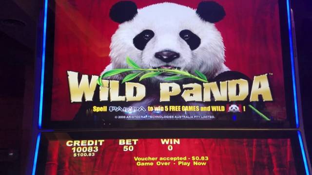 «Wild Panda» новый игровой автомат на рынке