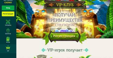 Netgame casino: VIP