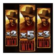 Символ Wild в Arizona Heist: Hold and Win