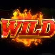 64 Gold Coins Hold and Win: Wild