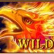 Arising Phoenix: Wild