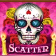 Beautiful Bones: Scatter