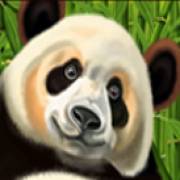 Big Panda: Большая панда