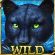 Blue Panther: Wild