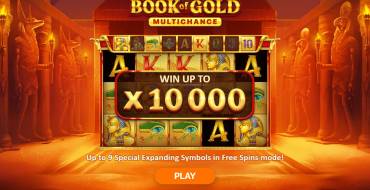 Book of Gold Multichance: Уникальные функции