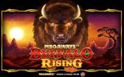 Buffalo Rising Megaways All Action (Blueprint Gaming)