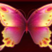 Butterfly Lovers: Free Spins