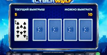 Cyber Wolf: Риск-игра