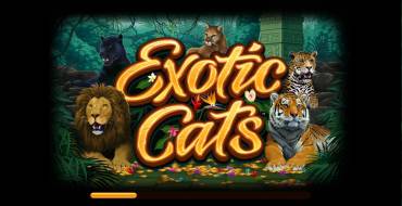 Exotic Cats: Игровой автомат