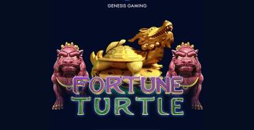 Fortune Turtle: Тематика