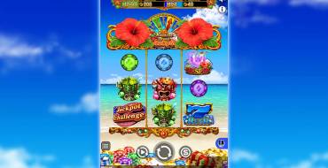 Hawaiian Dream Jackpot: Игровой автомат