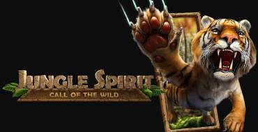 Jungle Spirit: Call of the Wild: Дизайн игры