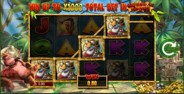 King Kong Cash: Выигрыши