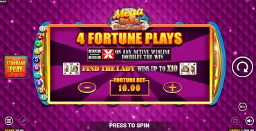 Mega Bars: Find the Lady Fortune Play: Уникальные функции