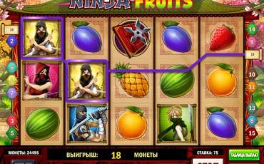 Игровой автомат Ninja Fruits