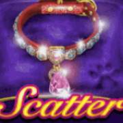 Pretty Kitty: Scatter