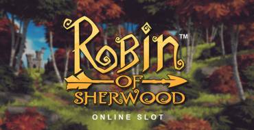 Robin of  Sherwood: Игровой автомат