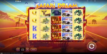 Safari Dream: Интерфейс