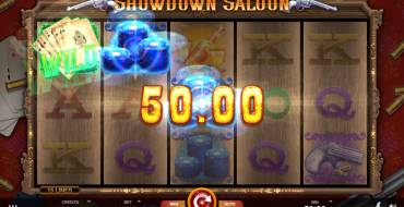 Showdown Saloon: Выигрыши