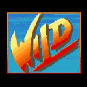 Street Fighter II: The World Warrior: Wild