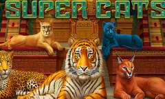 Онлайн слот Super Cats играть