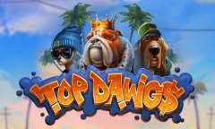 Онлайн слот Top Dawgs играть