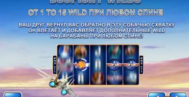 Top Gun: Дополнительный Wild