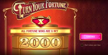 Turn Your Fortune: Особенности