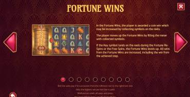 Turn Your Fortune: Призы