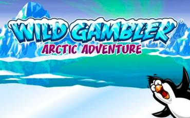 Игровой автомат Wild Gambler – Arctic Adventure