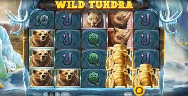 Wild Tundra: Игровой автомат