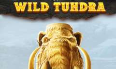 Онлайн слот Wild Tundra играть